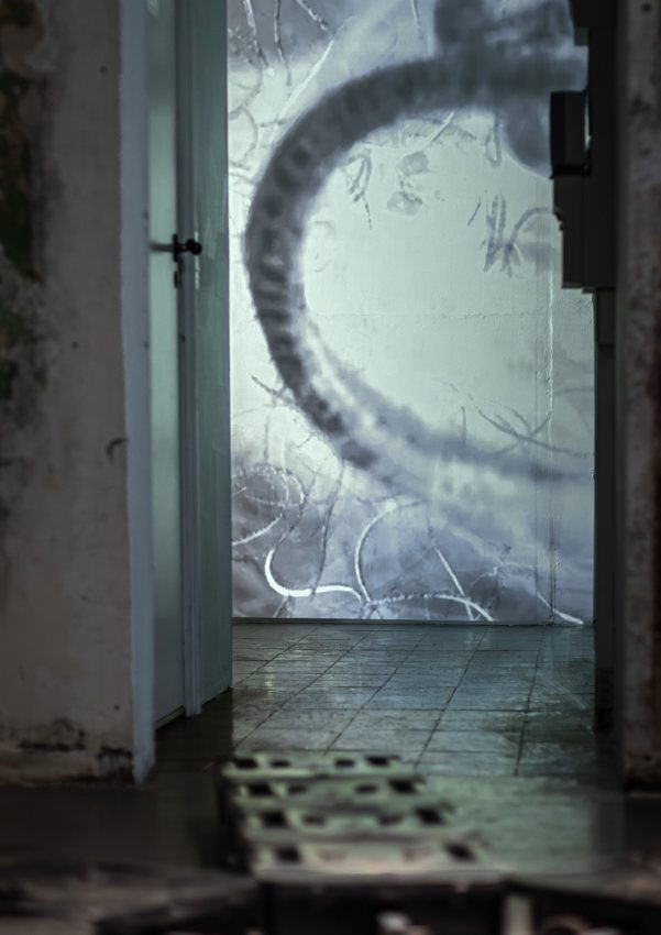 Lukas Danys, SETTING, 2026, installation view. Photo: Alen Aligrudić.