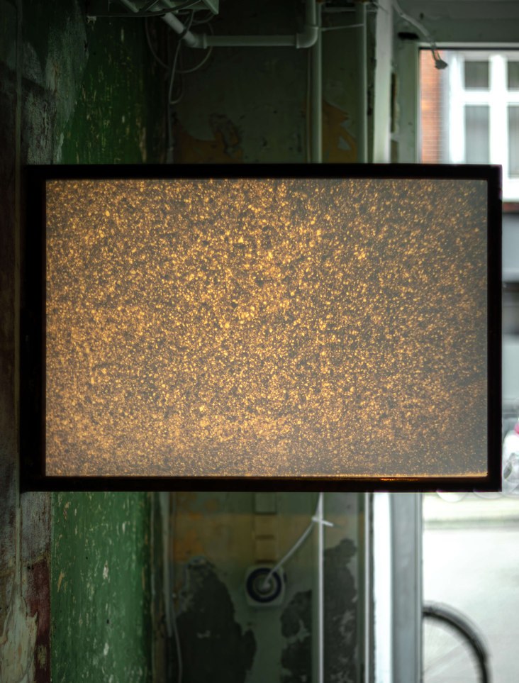 Sediments; Situated in One Place, in Many Times