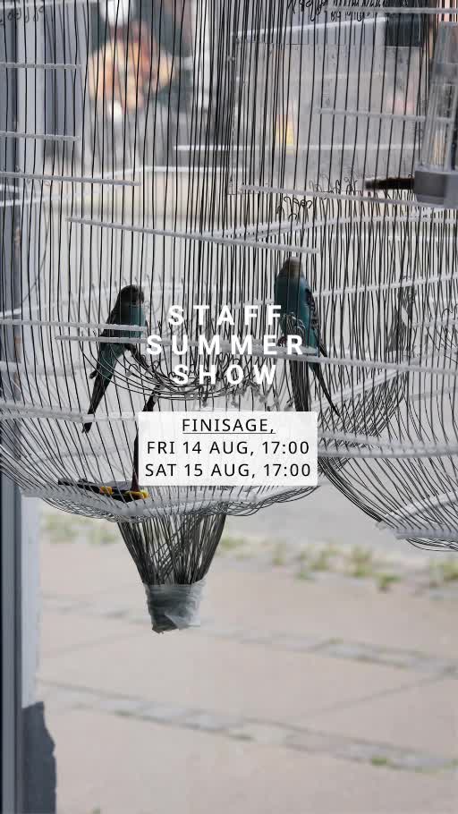 Staff Summer Show, video still